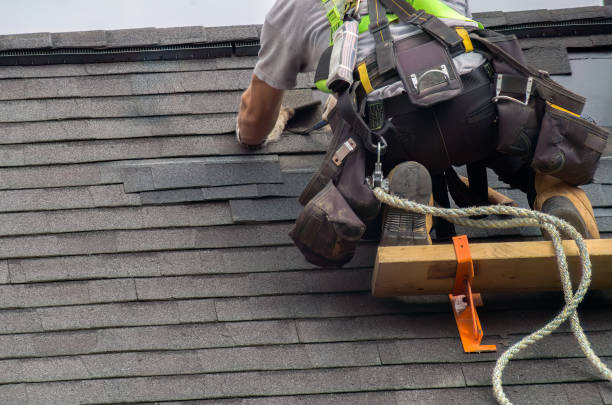 Best Storm Damage Roof Repair  in Mount Rainier, MD