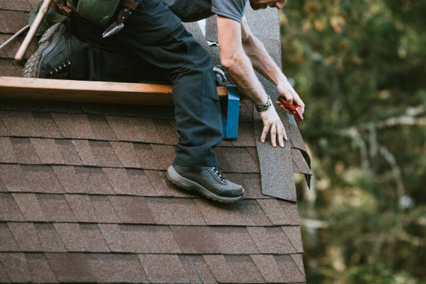Best Gutter Installation and Roofing  in Mount Rainier, MD